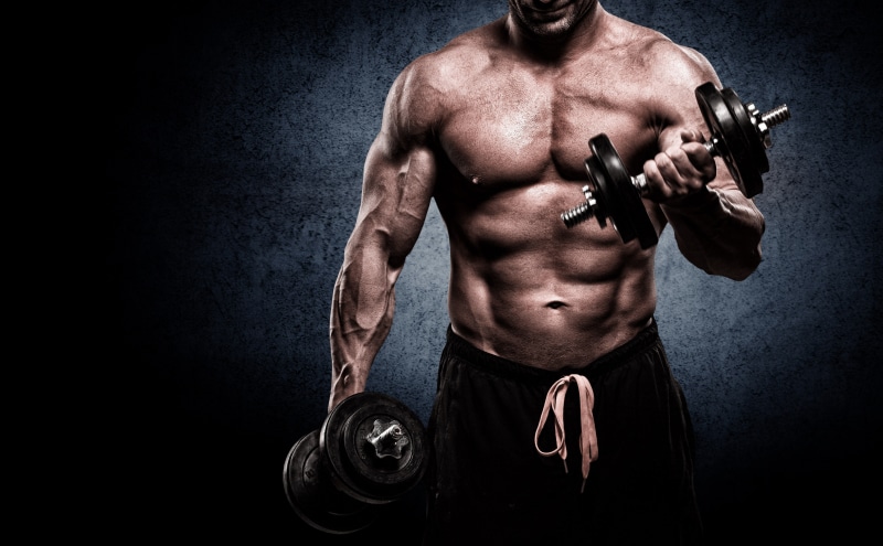 athlete, bicep, torso, human body part, bodybuilder, black, sport, shirtless, 5K, two, human muscle, dark, strength, vitality, black background, weight training