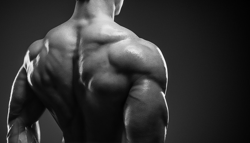 bodybuilder, 5K, back muscles, muscle mass