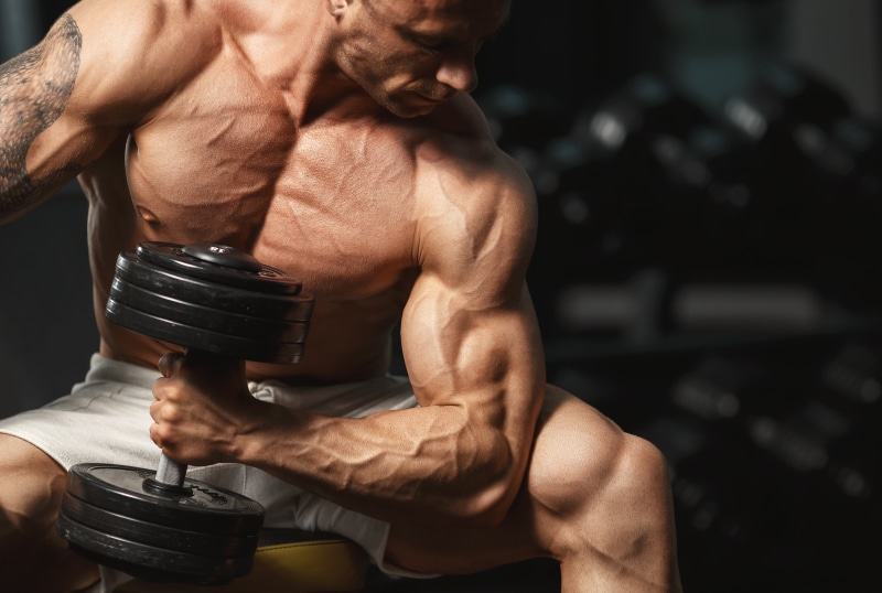 gym, bodybuilder, biceps, 4K, tattoo, muscle, dumbbells, pose