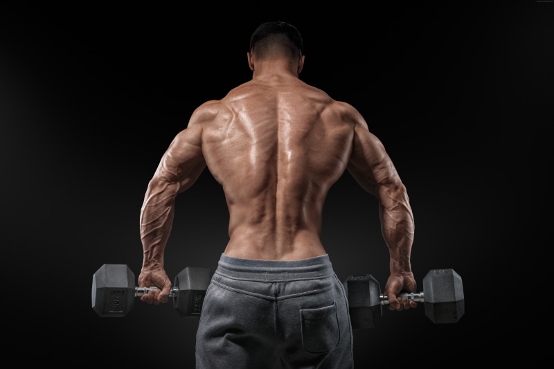 Training, 5K, Bodybuilding, men, weights, abdominal muscle, athlete, exercise, human muscle, shirtless, black background, body part, human limb, healthy lifestyle