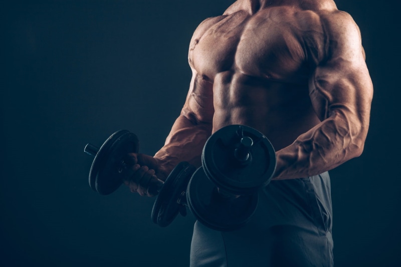 black, human muscle, body building, muscular build, human body part, weight, pair, chest, athlete, abdominal muscle, body part, men, bicep, healthy lifestyle