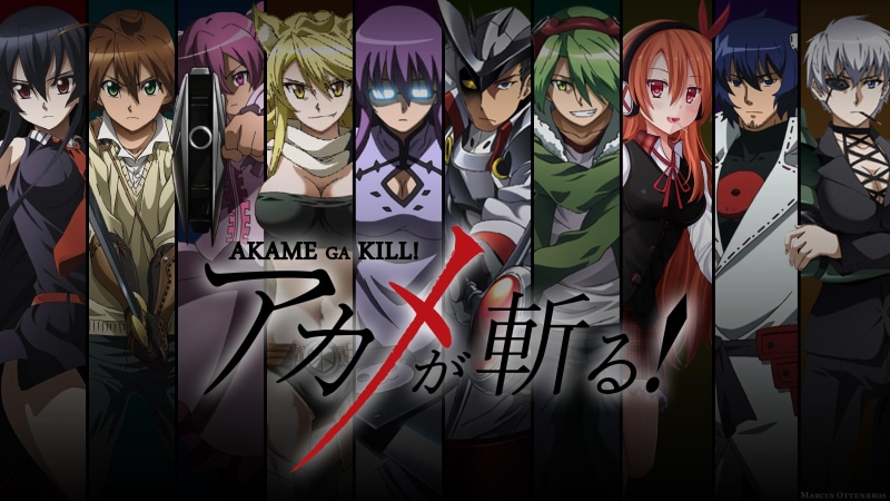 4K, akame ga kill, night raid