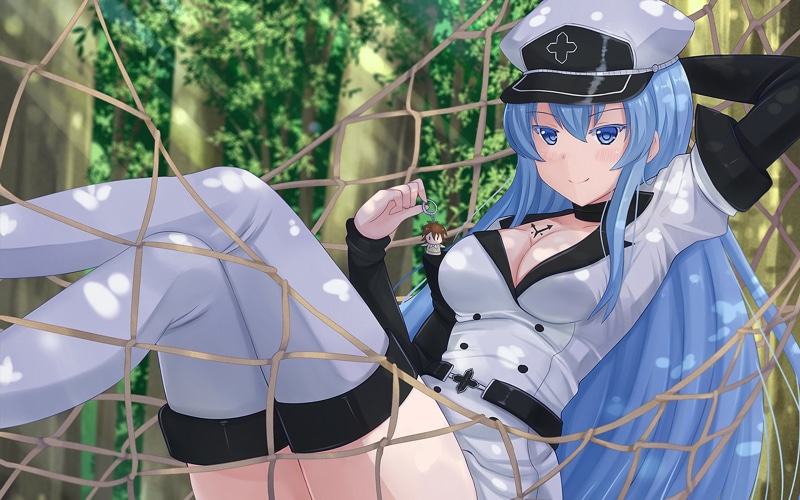 Akame ga Kill!, 1080P, anime, Esdeath