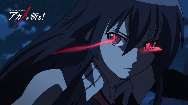haired, Akame ga Kill!, outdoors, female, communication, red, flag, patriotism, environment, sky, emotion, character, low angle view, sign, 1080P, wind
