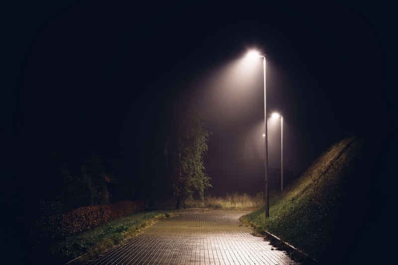 lights, empty, street, plant, no people, 4K, outdoors, the way forward ...