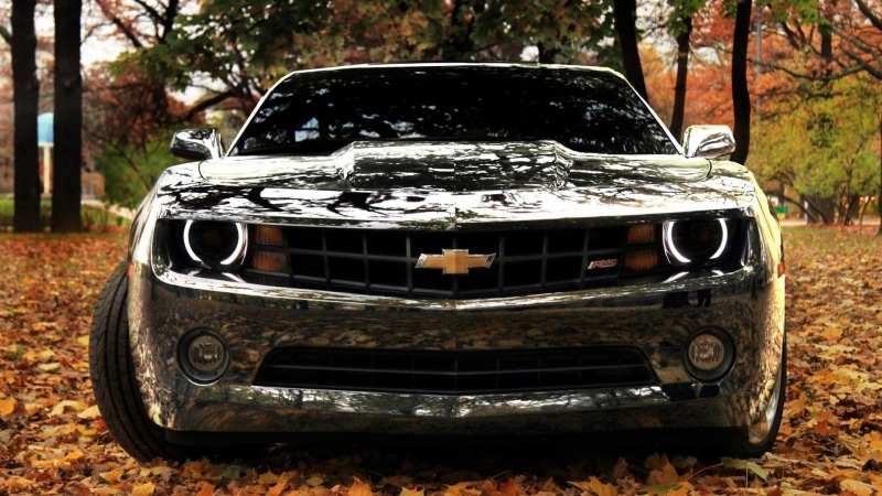 tree, focus on foreground, mode of transportation, retro styled, Camaro, land, transportation, Chevrolet, metal, black, car, plant, headlight, no people