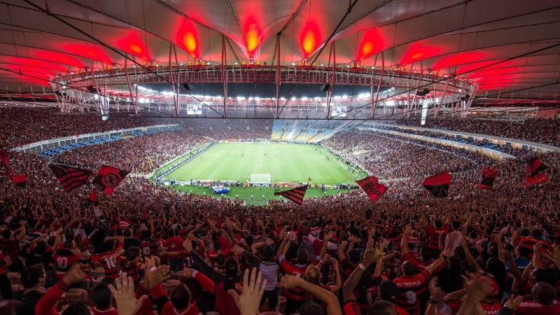 festival, spectator, stage, sport, crowd, leisure activity, flamengo, arts culture and entertainment, men, lifestyles, architecture, women, music festival