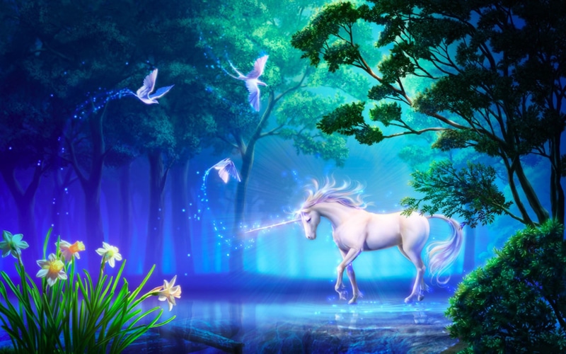 hd, computer, fantasy, desktop, 2K, unicorn, forest, beautiful,