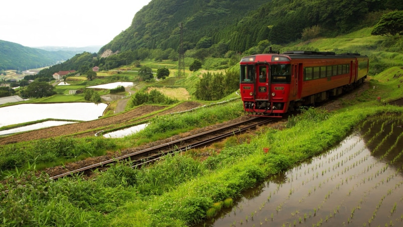land vehicle, track, mode of transportation, day, railroad track, train, mountain, red, growth, train - vehicle, rail transportation, outdoors, 1080P