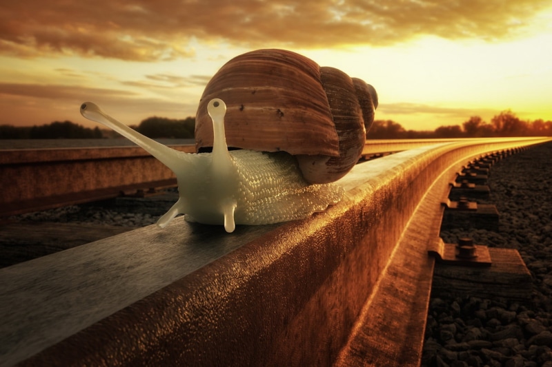 snail, statue, travel, art and craft, human representation, close-up, sunset, sunlight, outdoors, representation, three Dimensional, beauty in nature, orange color
