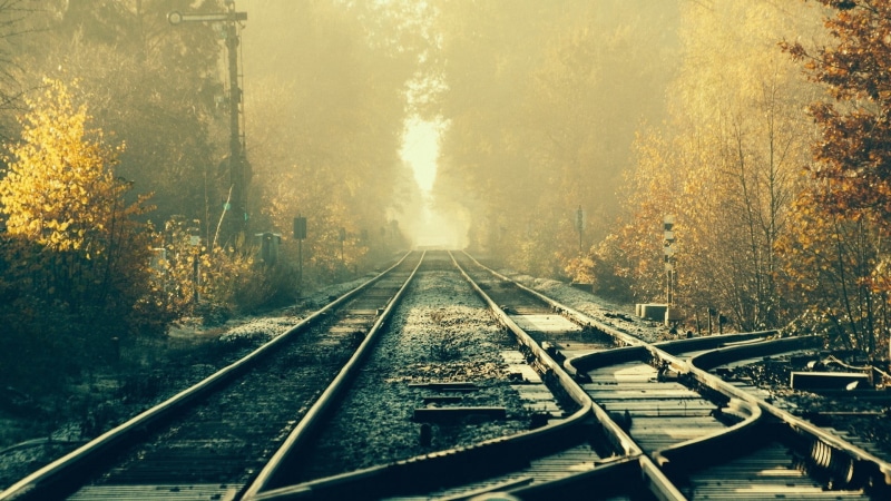 rail, railway, tree, nature, the way forward, diminishing perspective, transportation, railroad track, rail transportation, no people, direction, fog, train