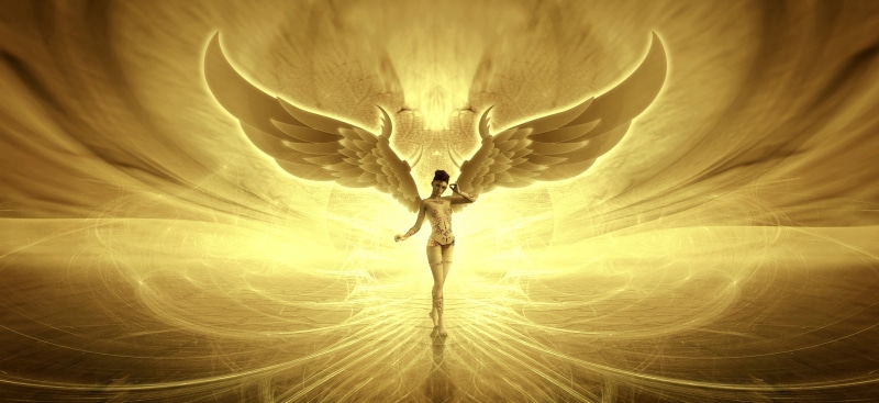 beauty, wing, female, dream, appearance, flying, animal themes, pose, fairy tales, rays, evil, directly below, composing, no people, spread wings, light