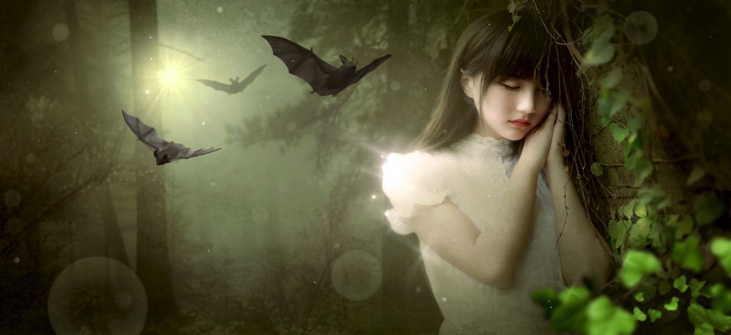 forest, outdoors, mood, glass - material, composing, looking, animal wildlife, contemplation, beautiful woman, face, abandoned, hairstyle, fear, magical