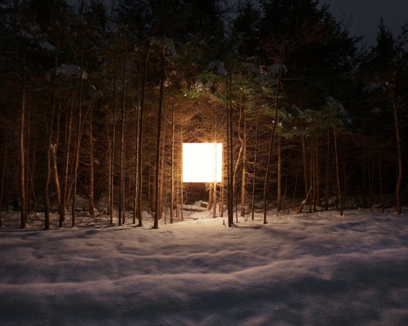 forest, cold temperature, outdoors, tranquility, sunset, land, tree, tree trunk, beauty in nature, artificial lights, no people, field, tranquil scene
