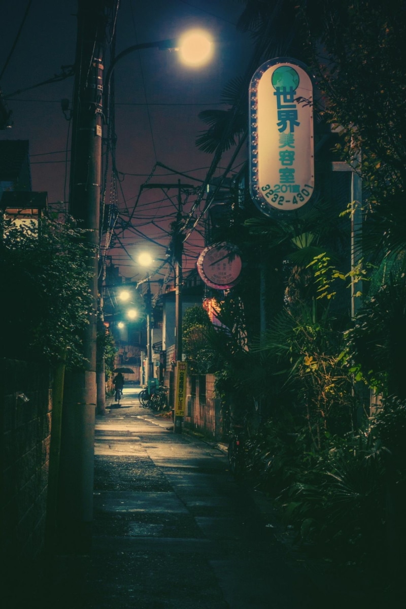cityscape, alley, outdoors, direction, night, light, chinese lantern, plant, built structure, lantern, signage, sign, lights, building exterior, nature