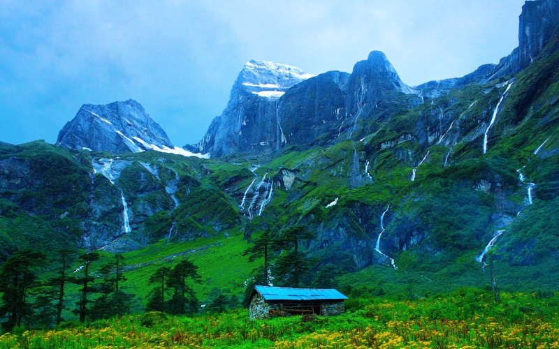 scenics - nature, mountain range, non-urban scene, landscape, flower, environment, tranquil scene, Himalayas, yellow, mountain, land, green color, formation