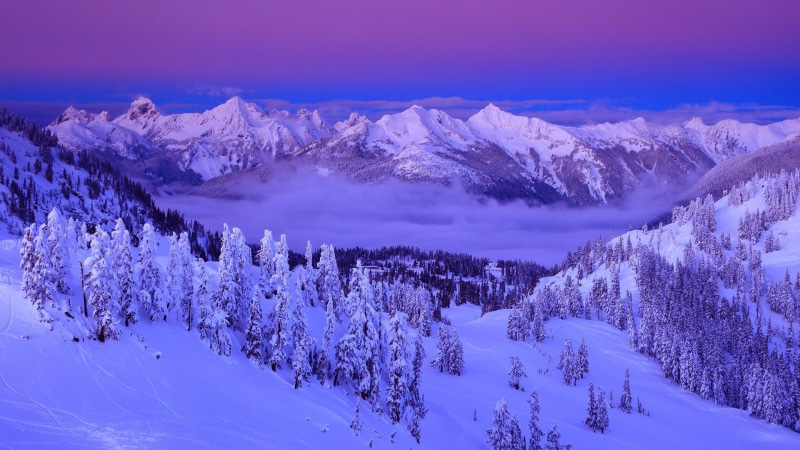 landscape, clouds, winter, 1080P, capped, purple, mountain, nature, sky, trees, mountains, snow