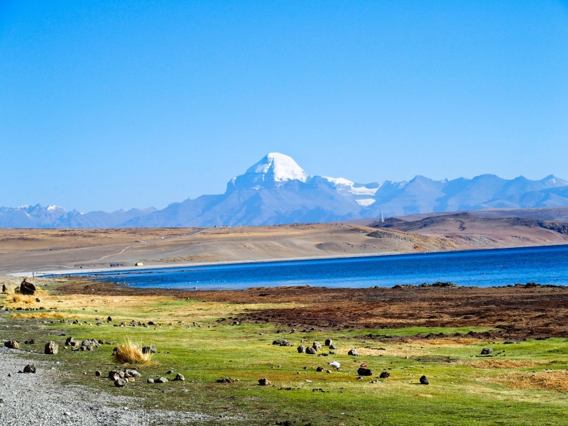 beauty in nature, blue, nature, no people, mammal, mountain, water, large group of animals, 4K, domestic animals, animals in the wild, group of animals