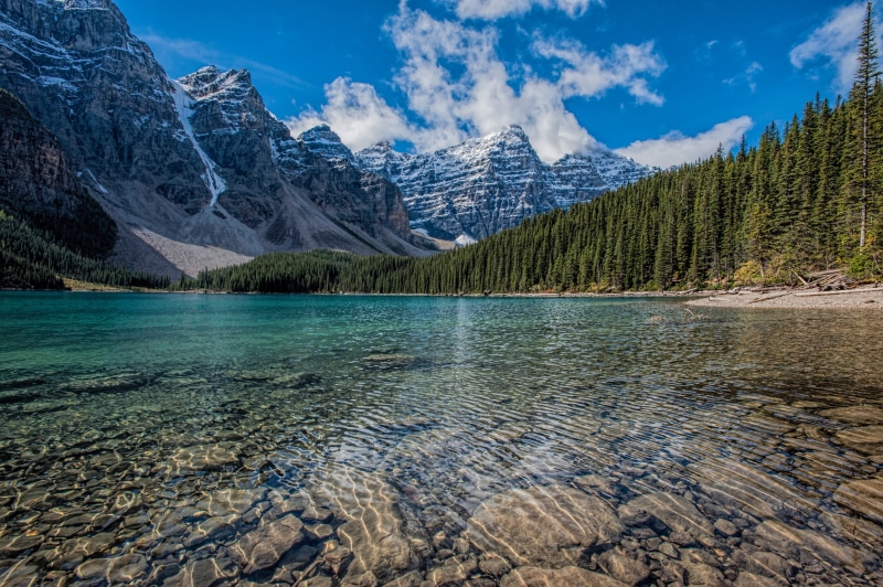 scenics - nature, valley, green Color, dolomites, tree, landscape, louise, lake, beauty In Nature, forest, travel Destinations, alberta, banff National Park