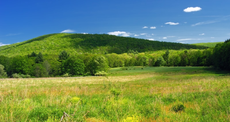 green, tree, summer, rural Scene, outdoors, hill, Appalachian Mountains, 2K, blue, landscape, forest, Hillside, valley  hill, cumulus, Yeager, field, Nescopeck State Park