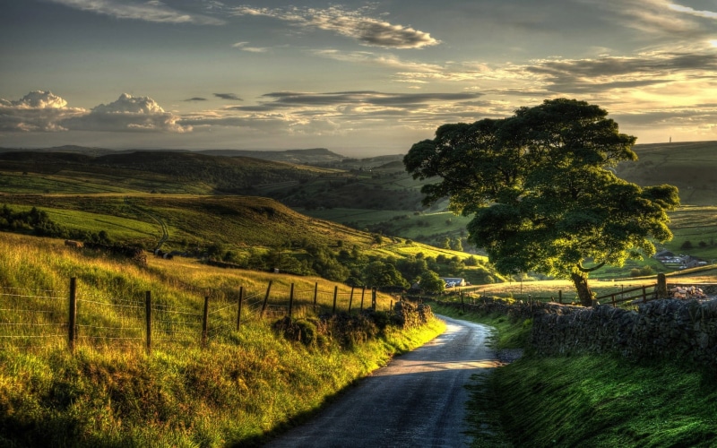outdoors, trees, green, diminishing perspective, direction, nature, field, sunset, 1080P, painting, road, sky, land, villages, cloud - sky, grass, no people
