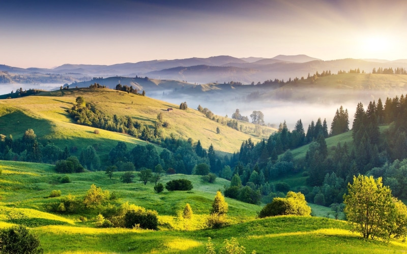 environment, tree, rural scene, travel, tamilnadu, scenic, station, kodaikanal, mountain, altitude, hill, sunny, plain, 2K, day, scenery, forest, clouds