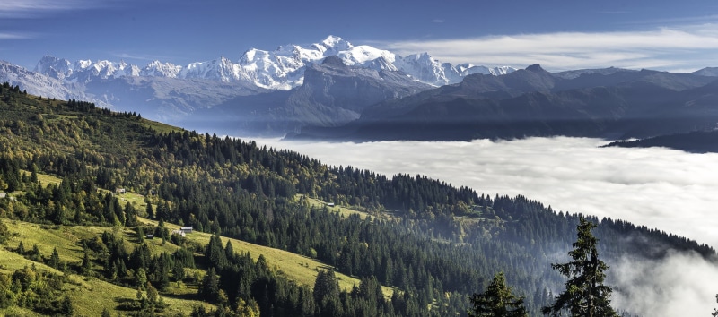 Alps, beside, mountain Peak, daytime, trees, european Alps, mont, forest, mountain Range, Montagne, outdoors, river, pine trees, snow mountains, mountains