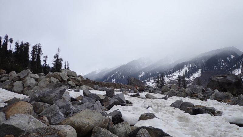 fog, cold temperature, environment, solid, snow, snowcapped mountain, mountains, 4K, winter, india, pine woodland, scenics - nature, tranquility, mountain
