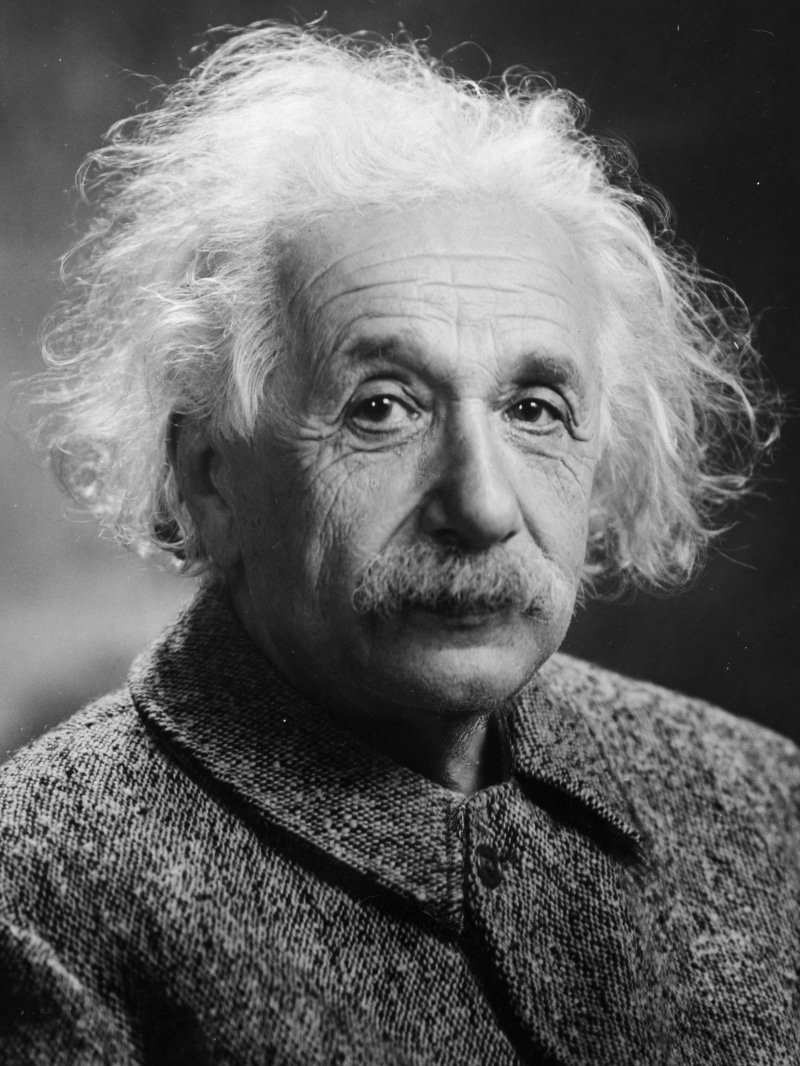 famous, person, max-planck medal in 1929, 1921 nobel prize in physics, celebrity, face, front view, leisure activity, lifestyles, 4K, head, one person