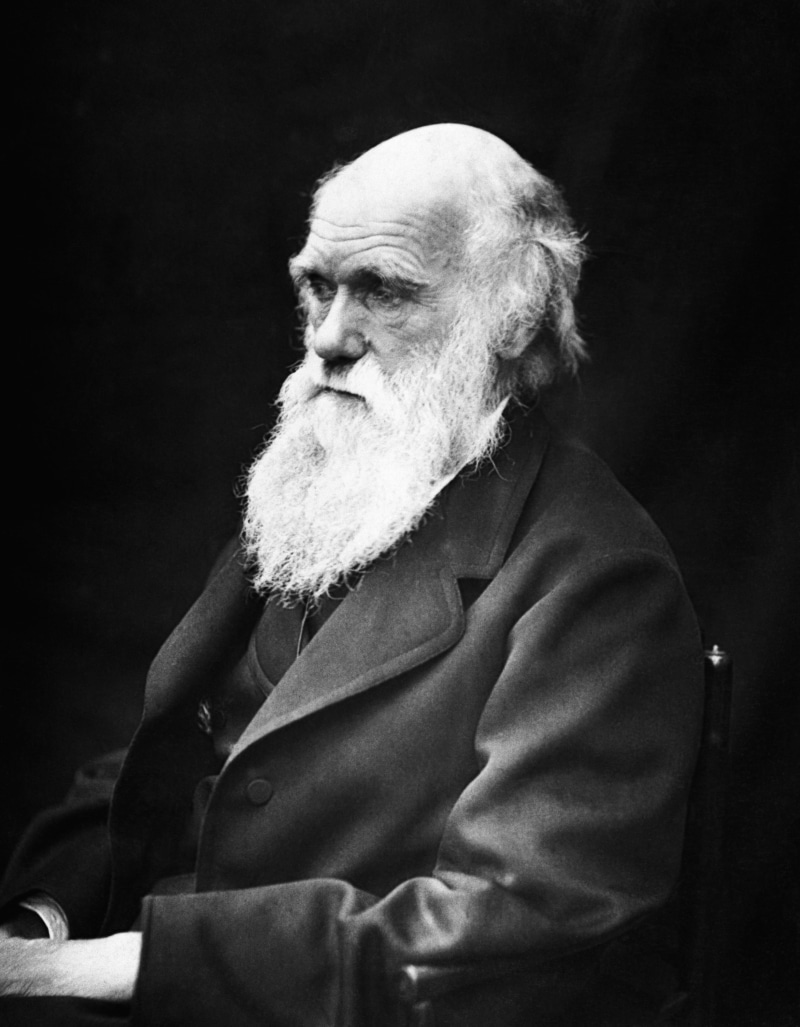 theory of evolution, senior Adult, concepts And Ideas, contemplation, adult, males, facial hair, serious, charles, evolution, senior Men, charles robert darwin