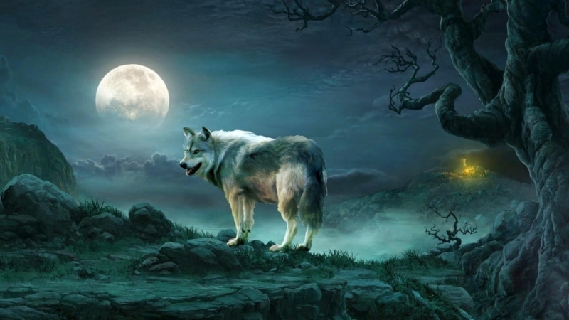 darkness, moon, nature, full moon, sky, landscape, artwork, wolf, 1080P, fantasy art, moonlight, wildlife