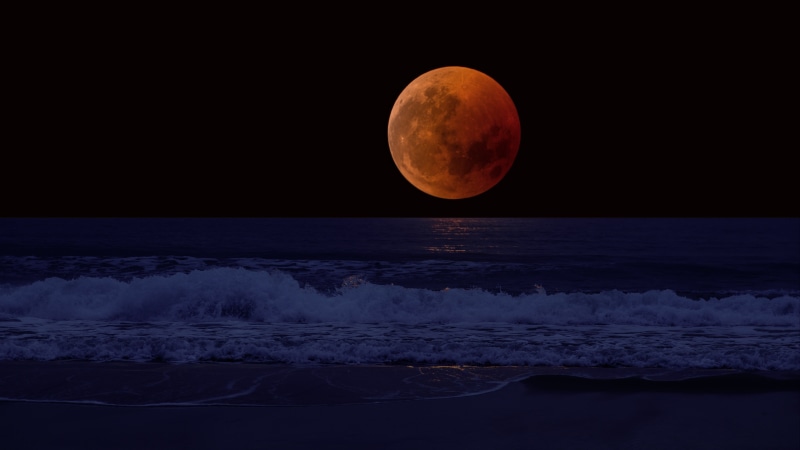 horizon, coast, sea, wave, celestial event, beach, moon, midnight, astronomical object, moonlight, 4K, sky, night sky, darkness, night, full moon