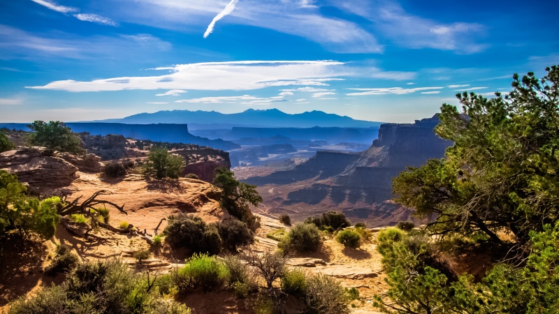plants, uSA, national Park, national Landmark, grand Canyon National Park, Trail, sky  blue, field, clouds, 4K, rock - Object, Goose, view, Neck, outdoors