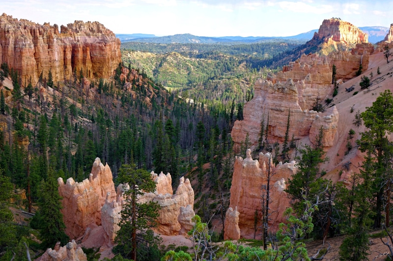 beauty In Nature, white, blue, scenics, Bryce canyon, uSA, rocky, rock Hoodoo, canyon, bryce Canyon National Park, cliff, white clouds, geology, landscape