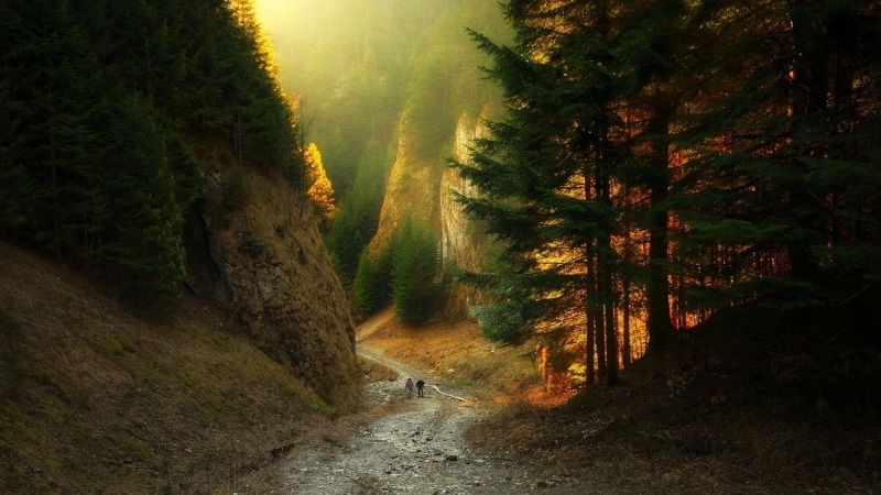 path, sunlight, remote, mountains, nature, canyon, tranquility, land, 720P, leisure activity, the way forward, leafed, road, no people, sunset, scenics - nature