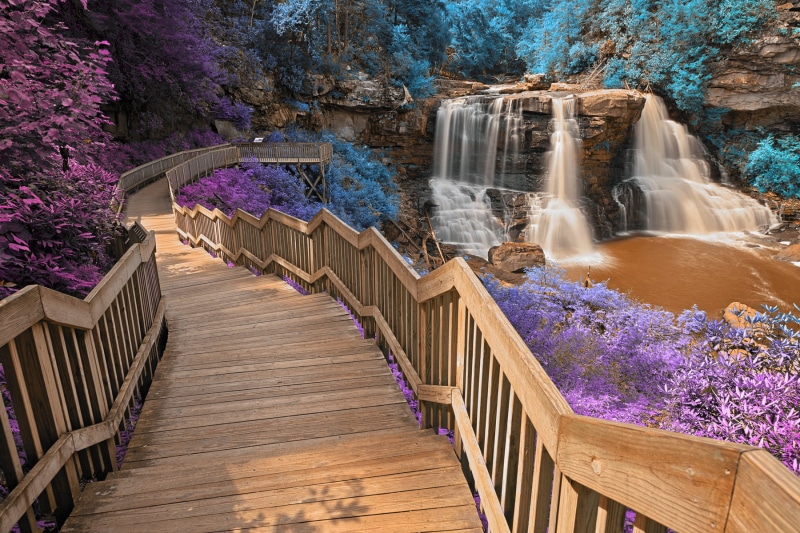 cyan, beauty, Blackwater Falls, background, petal, 720P, purple, water, falls, pretty, stream, colour, path, orange, west virginia, HDR, passage, surrounded