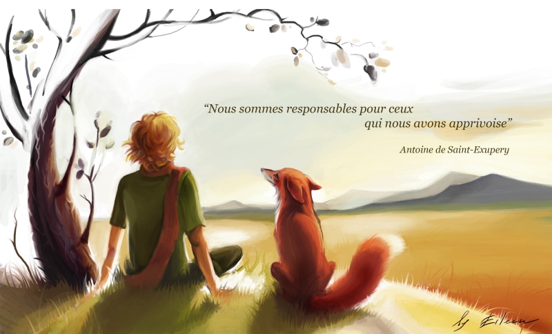 sitting, man, dog, illustration, grass, Fox, lifestyles, land, nature, real people, women, Exupery, tree, rear view, leisure activity, image, plant, people