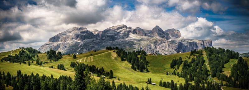 sony a7, 1080P, tree, meadow, clouds, green  group, nature, trees, portfolio, green Color, alto Adige, summer, green, scenics, outdoor, italia, Trentino Alto Adige