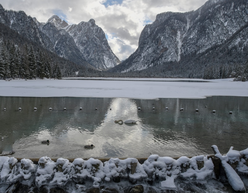 ice, sky, tranquil scene, cold temperature, day, toblach, tranquility, cloudy, non-urban scene, swan, water, no people, scenics - nature, frozen, nature