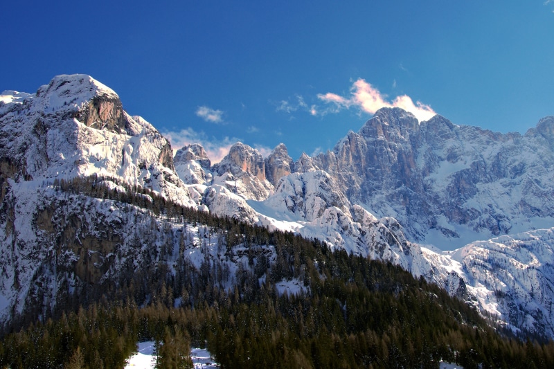 pine woodland, plant, italy, winter landscape, snowcapped mountain, dolomiti superski, winter, scenics - nature, tree, cold, sci, mountain peak, land, snow