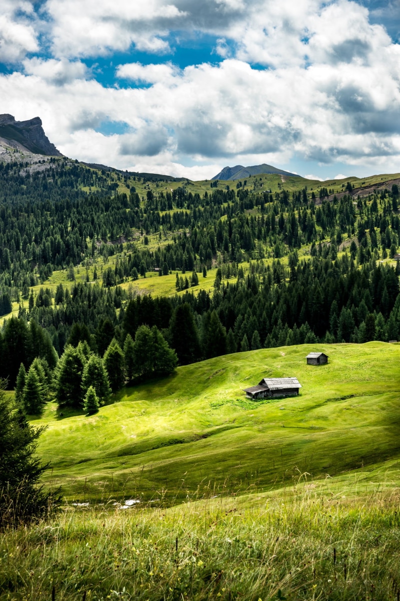 grass, near, dolomites, surrounded, sky, summer, tree, green grass, landscape photography, Alta Badia, nature, photo, light, green Color, full frame, dolomiti