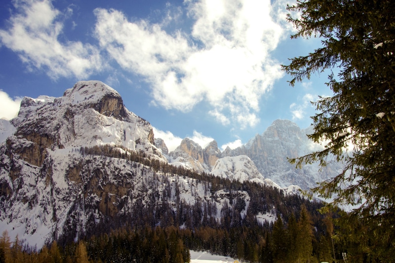 winter, tranquility, non-urban scene, veneto, pine tree, formation, nature, winter panorama, mountain range, alps, scenics - nature, cold temperature, day