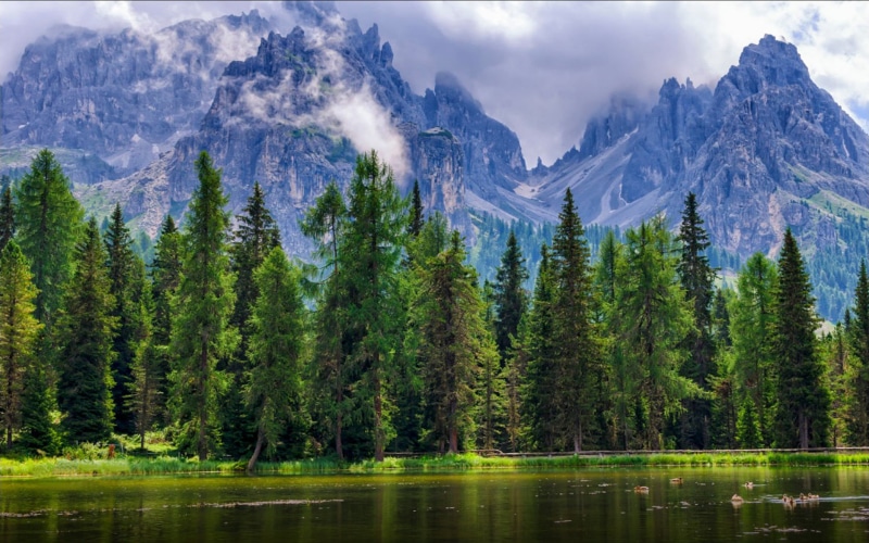 environment, plant, woodland, mountain range, beauty in nature, outdoors, misurina, 2K, pine woodland, tree, formation, famous, no people, mountain, coniferous tree