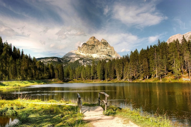 plant, pine tree, mountain range, italy, lavaredo, beauty in nature, lake, landscape, south tyrol, misurina, pine woodland, idyllic, tree, nature, summer