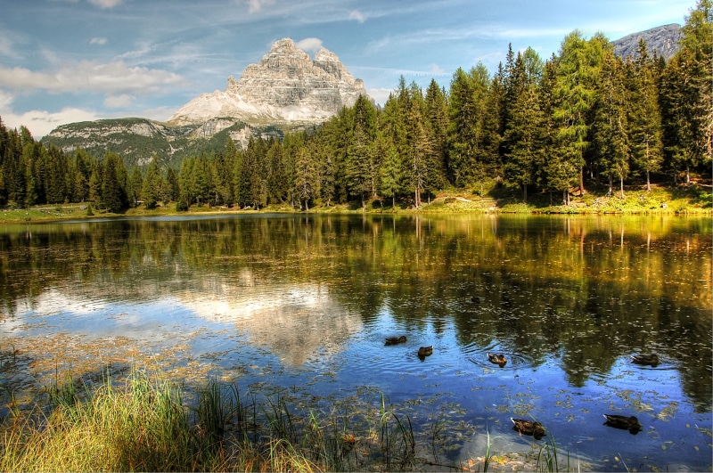 lavaredo, misurina, dolomite, beauty in nature, italy, plant, bergsee, outdoors, water, reflection lake, day, forest, mood, nature, idyllic, clouds, alpine