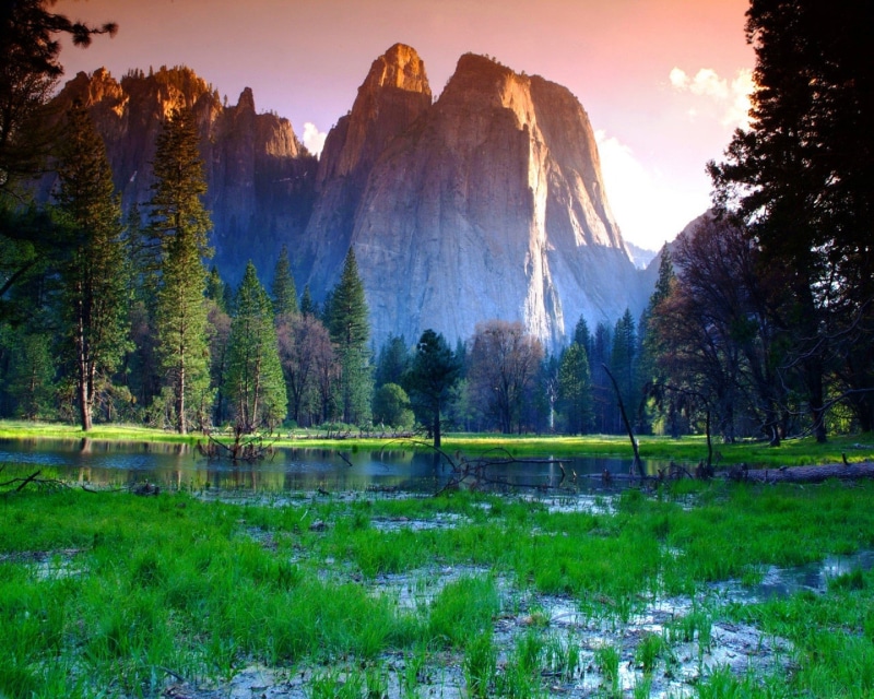 arboles, usa, parque, 1080P, paisaje, yosemite, naturaleza, lago
