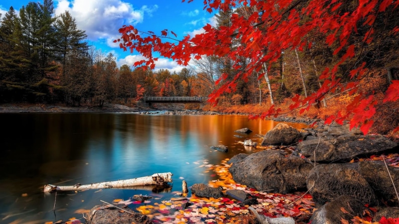 lake, otoño, lago, 1080P, 4k, hd, colorado, water, nature