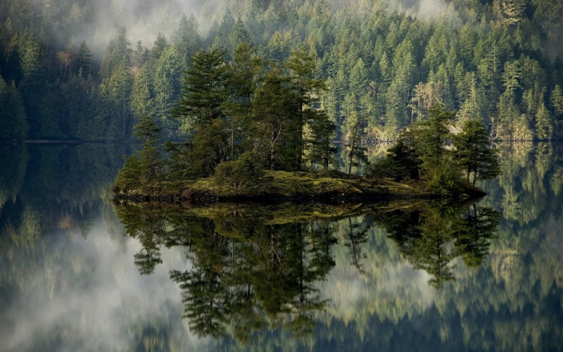 lago, 1080P, pinos, naturaleza, isla