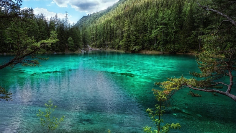 1080P, lago, bosque, naturaleza
