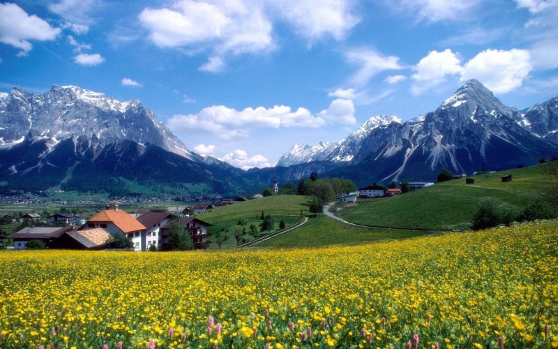 village, bavaria, hd, springtime, spring, meadow, beauty in nature, flowering plant, snowcapped mountain, idyllic, agriculture, flowers, snow